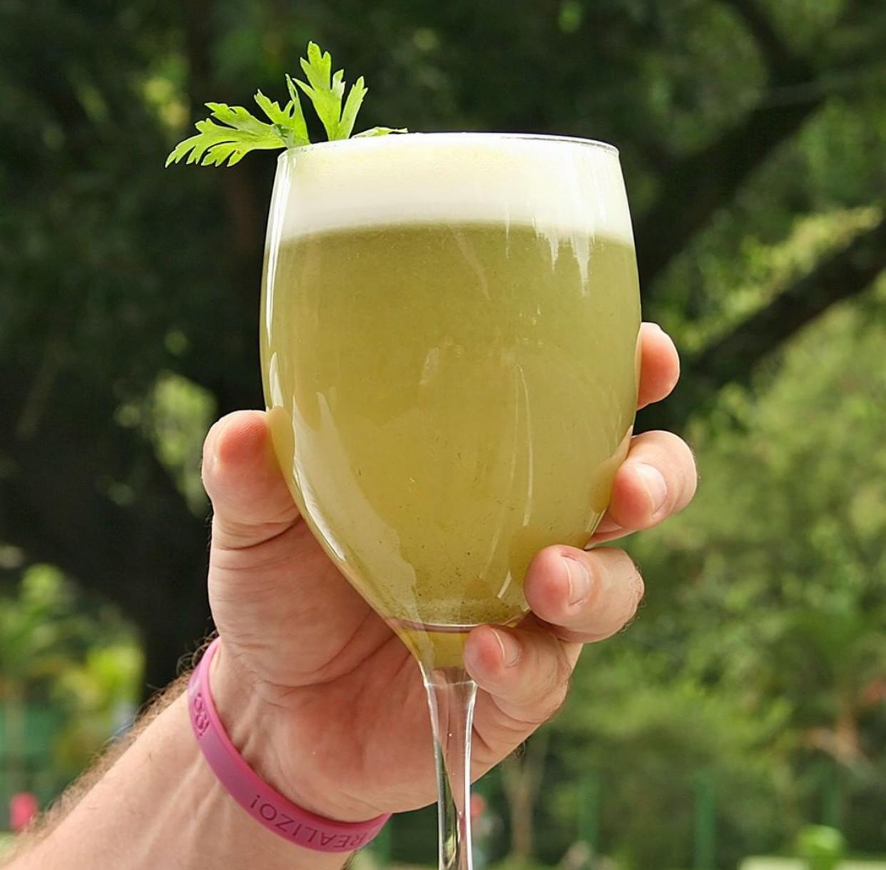 SUCO REFRESCANTE 350ml